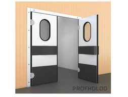 Маятниковая дверь МДД